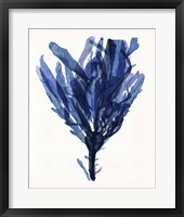 Indigo Ocean IV Framed Print