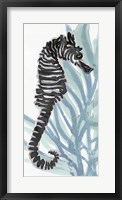 Zebra Seahorse I Framed Print