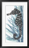 Framed Zebra Seahorse II