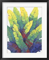 Framed Sunlit Banana Leaves I