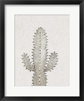 Cactus Study I Framed Print