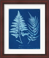 Framed 'Cyanotype Ferns V' border=