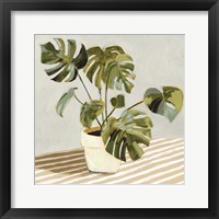 Framed 'Plant on Stripes II' border=