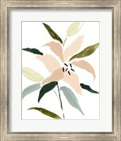 Framed 'Lily Abstracted I' border=