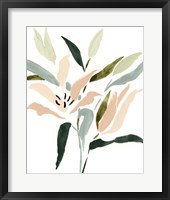 Lily Abstracted II Framed Print