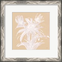 Framed 'Echinacea III' border=