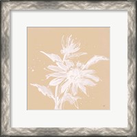 Framed 'Echinacea II' border=