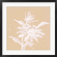 Framed Echinacea II