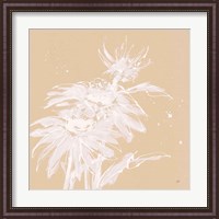 Framed 'Echinacea I' border=