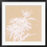 Framed Echinacea I