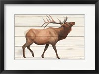 Framed Northern Wild III