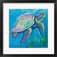 Framed Sea Turtle Swim