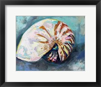 Framed Nautilus Shell