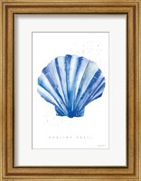 Framed 'Scallop Shell' border=