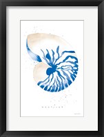 Framed Nautilus