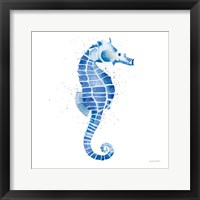 Framed Seahorse