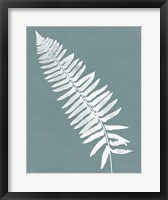 Nature by the Lake Ferns IV Gray Mist Crop Framed Print