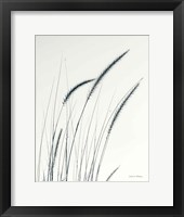 Framed Field Grasses III Crop