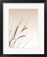 Framed Field Grasses I Sepia