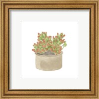 Framed 'Simple Succulent I' border=