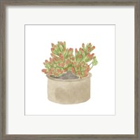 Framed 'Simple Succulent I' border=