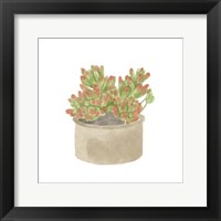 Framed 'Simple Succulent I' border=