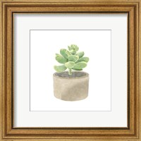 Framed 'Simple Succulent II' border=