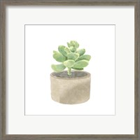 Framed 'Simple Succulent II' border=