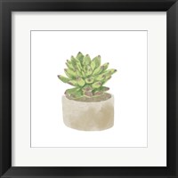 Framed 'Simple Succulent III' border=