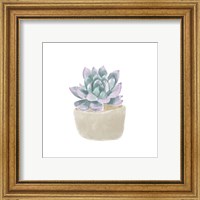 Framed 'Simple Succulent IV' border=