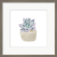 Framed 'Simple Succulent IV' border=