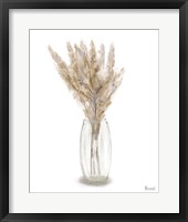 Dried Flower III Framed Print