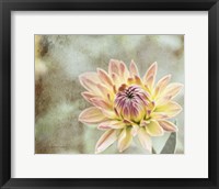 Framed Impression Flower