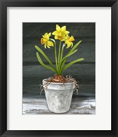 Framed Farmhouse Garden I-Daffodils