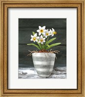 Framed 'Farmhouse Garden II-White Daffodils' border=
