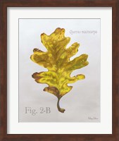 Framed Autumn Leaves on Gray III-Oak