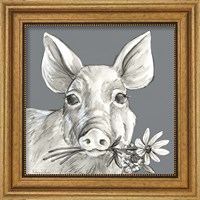 Framed 'Pig' border=