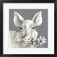 Framed 'Pig' border=