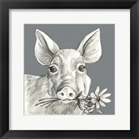 Pig Framed Print