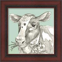 Framed 'Cow' border=