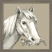 Framed 'Horse' border=