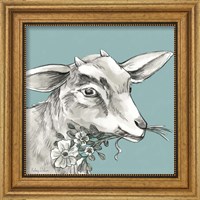 Framed 'Goat' border=