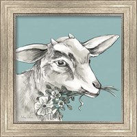 Framed 'Goat' border=