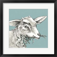 Framed 'Goat' border=