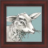 Framed 'Goat' border=