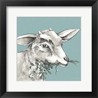 Goat Framed Print