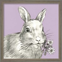 Framed 'Rabbit' border=