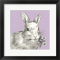 Framed Rabbit