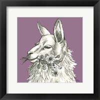 Framed Llama