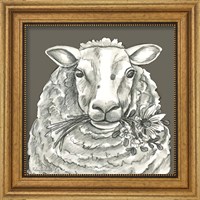 Framed 'Sheep' border=